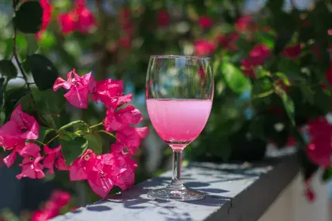 Aparte de su belleza, la Santa Rita tiene propiedades medicinales y se usa en infusiones para aliviar la tos y reducir la fiebre Aparte de su belleza, la Santa Rita tiene propiedades medicinales y se usa en infusiones para aliviar la tos y reducir la fiebre