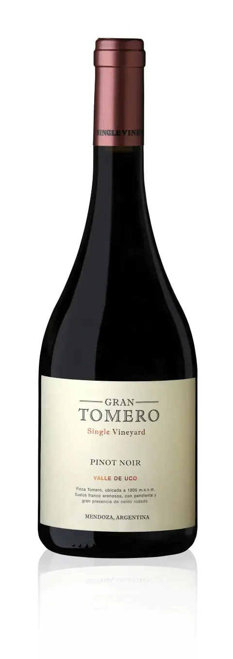 08_jr_-_gt_pinot_noir.jpg 08_jr_-_gt_pinot_noir.jpg