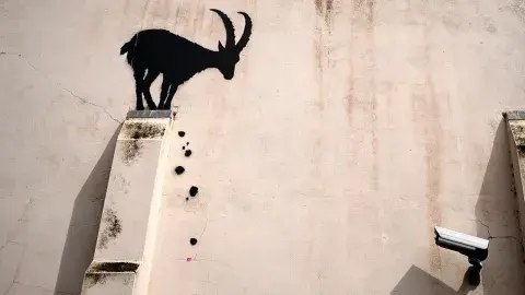 Se espera que el artista continúe con la saga de animales durante los próximos días Se espera que el artista continúe con la saga de animales durante los próximos días