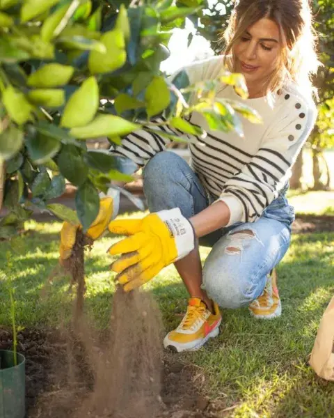 Jazmines, una de las plantas con flores que tiene Juliana Awada. Jazmines, una de las plantas con flores que tiene Juliana Awada.