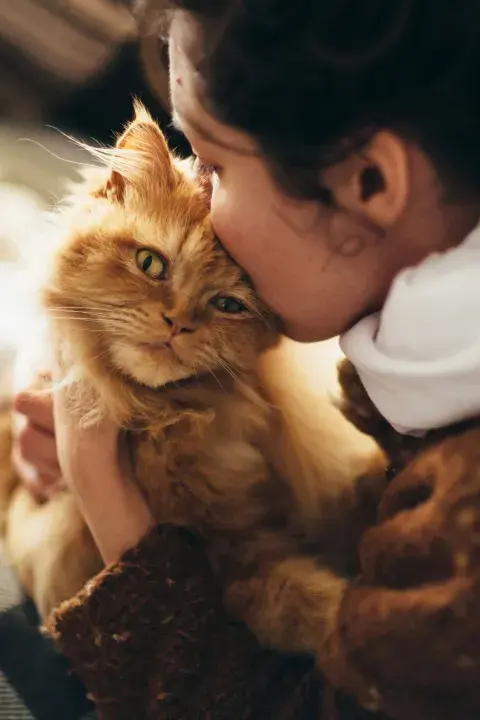 gato-verti.jpg gato-verti.jpg