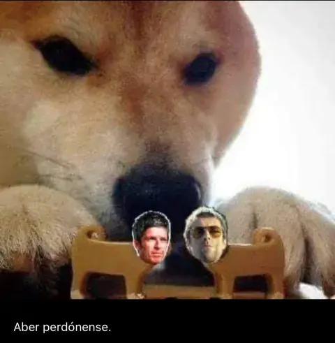 Los mejores memes y humoradas por el regreso de Oasis. Los mejores memes y humoradas por el regreso de Oasis.