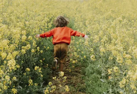 homeopatia-infantil-ok.jpg homeopatia-infantil-ok.jpg