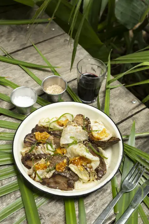 Tataki de melena de león