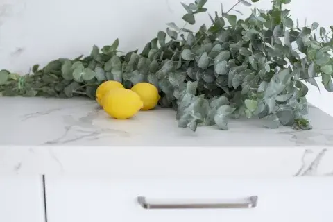 Con agua, aceite de eucalipto y jugo de un limón podés preparar un spray multiuso repelente para tu piel o para el ambiente Con agua, aceite de eucalipto y jugo de un limón podés preparar un spray multiuso repelente para tu piel o para el ambiente