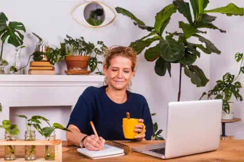 El ficus pandurata es de origen africano y vive sin problemas en espacios de interior y exterior. El ficus pandurata es de origen africano y vive sin problemas en espacios de interior y exterior.
