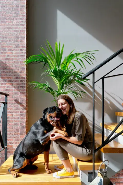 La palmera areca aporta el toque rústico y tropical a tu casa. La palmera areca aporta el toque rústico y tropical a tu casa.