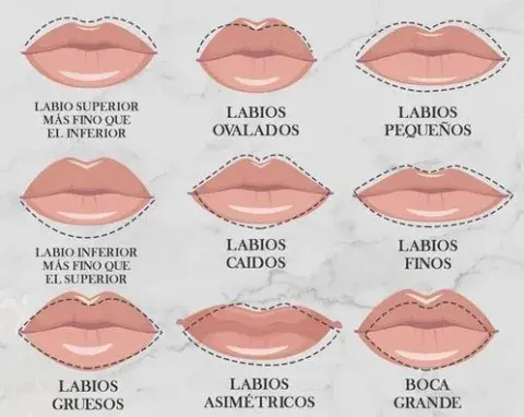 Diferentes tipos de labios. Diferentes tipos de labios.