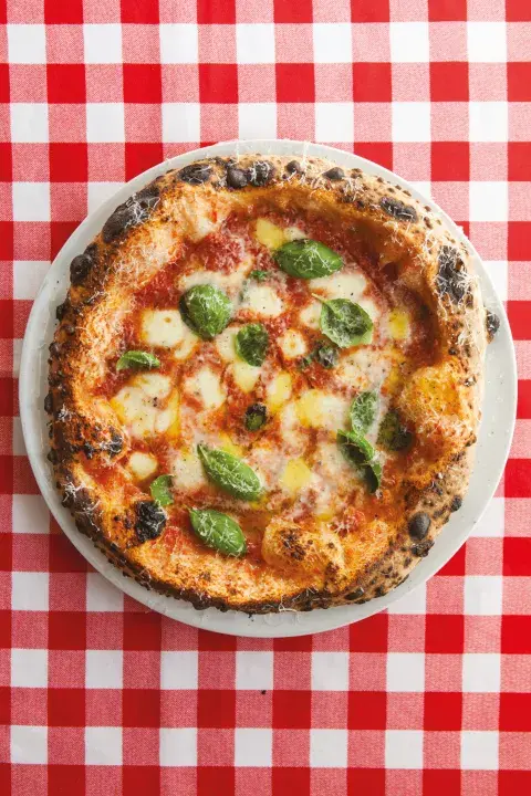 Pizza Margherita Pizza Margherita