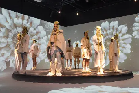 Pucheta Paz en Bafweek