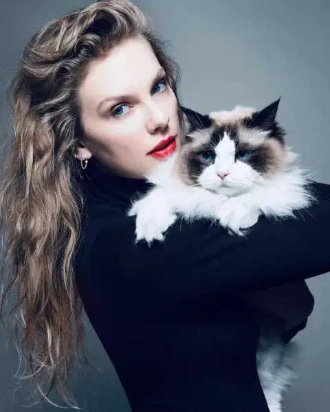 Foto de Taylor Swift con un gato.