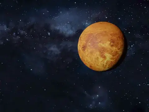 Venus Venus