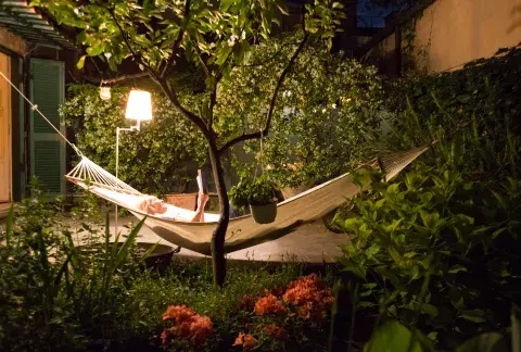 Las damas de noche florecen una sola vez, bajo la luna, e impregnan el aire con su delicada fragancia. Las damas de noche florecen una sola vez, bajo la luna, e impregnan el aire con su delicada fragancia.