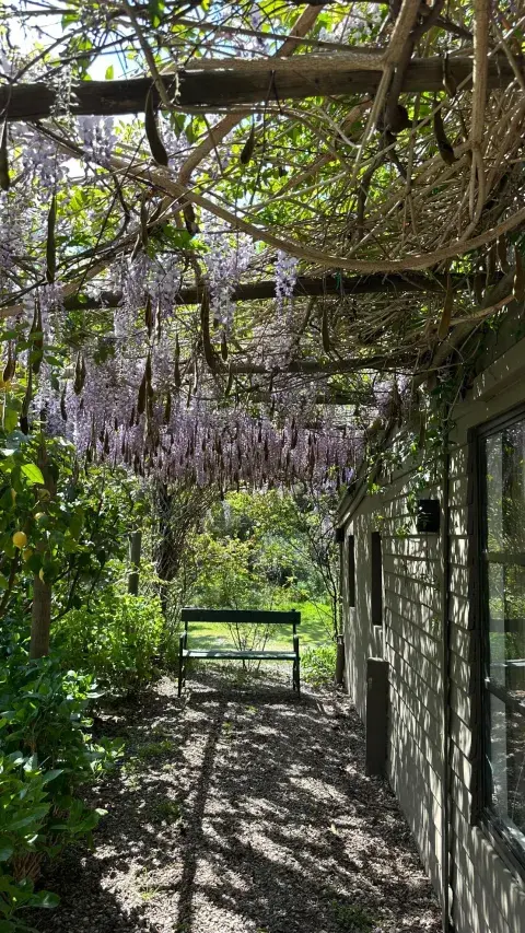 Foto de una galería con glicina en la casa de campo de Juliana Awada. Foto de una galería con glicina en la casa de campo de Juliana Awada.