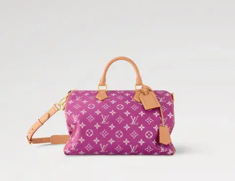 Foto de un bolso de Louis Vuitton. Foto de un bolso de Louis Vuitton.
