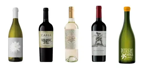 Para quien prefiere más dulzones o más sofisticados. También, un naranjo ¿ya los probaste? son como un tinto pero no tanto. Para quien prefiere más dulzones o más sofisticados. También, un naranjo ¿ya los probaste? son como un tinto pero no tanto.