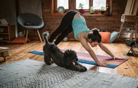 Puppy Yoga: ¿cómo es el ejercicio tendencia que llegó a Argentina? Puppy Yoga: ¿cómo es el ejercicio tendencia que llegó a Argentina?