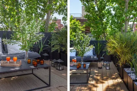 El árbol de la calle termina integrándose al follaje de la terraza.