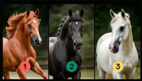Test de personalidad: 3 caballos Test de personalidad: 3 caballos