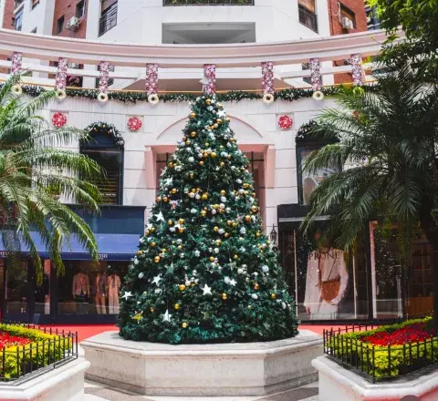 Lugares adonde podés llevar la carta a Papá Noel. Lugares adonde podés llevar la carta a Papá Noel.