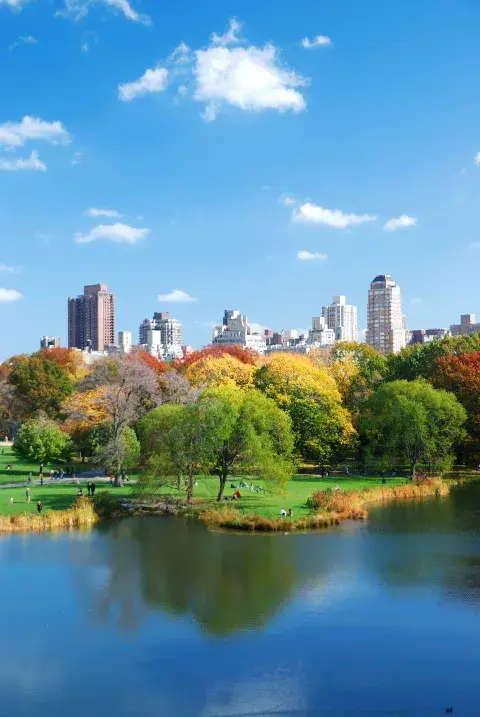 central_park.jpg