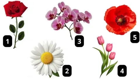 Test visual con flores.