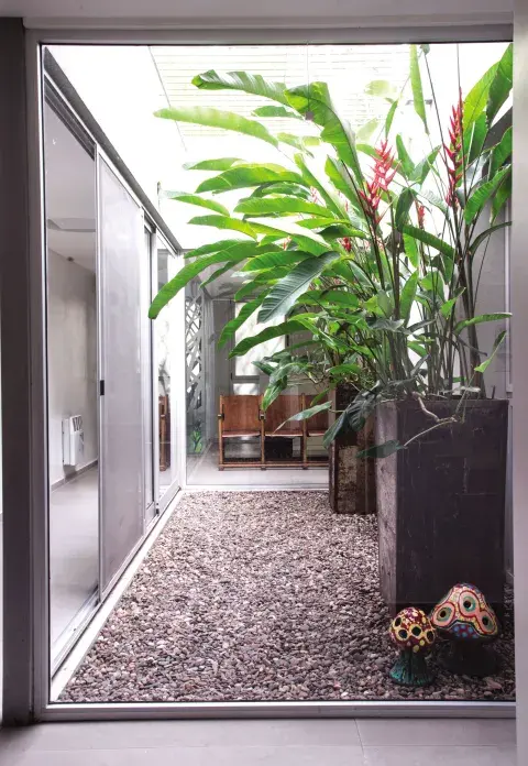 El piso de este patio interno fue cubierto con piedra suelta porque no había profundidad para plantar cubresuelos ni césped de sombra. El piso de este patio interno fue cubierto con piedra suelta porque no había profundidad para plantar cubresuelos ni césped de sombra.