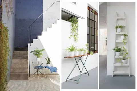 Una escalera pintada en el mismo tono que la pared y apoyada, una tabla de planchar o un juego de muebles de hierro sirven de soporte para las macetas y le agregan onda al patio sin resignar simpleza. Una escalera pintada en el mismo tono que la pared y apoyada, una tabla de planchar o un juego de muebles de hierro sirven de soporte para las macetas y le agregan onda al patio sin resignar simpleza.