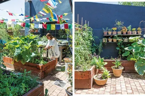 Los lugares al aire libre, especialmente las terrazas por su exposición al sol, que son ideales para cubrir de plantas, en estantes con macetas y canteros para huerta. Los lugares al aire libre, especialmente las terrazas por su exposición al sol, que son ideales para cubrir de plantas, en estantes con macetas y canteros para huerta.