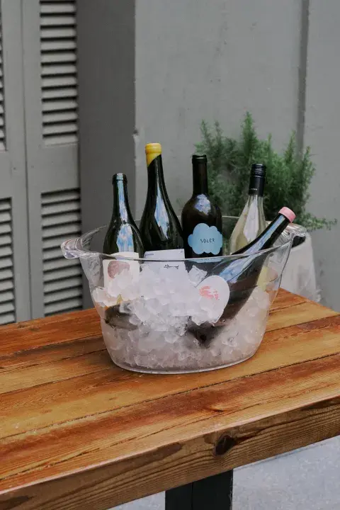 Vinos tintos ligeros Vinos tintos ligeros