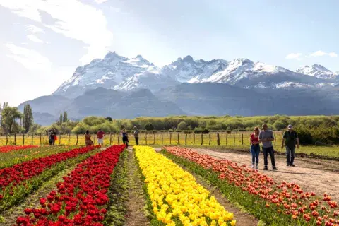 Trevelin es una localidad en la región de la Patagonia, en el departamento Futaleufú de la provincia del Chubut. Trevelin es una localidad en la región de la Patagonia, en el departamento Futaleufú de la provincia del Chubut.