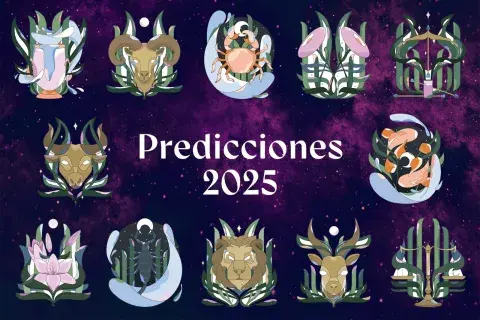Los símbolos de los 12 signos zodiacales. Los símbolos de los 12 signos zodiacales.