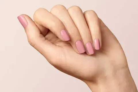 Para Sagitario nada mejor que un rosa viejo Para Sagitario nada mejor que un rosa viejo