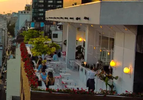 Restaurantes buenos, bonitos y baratos para despedir el año con amigos o compañeros de trabajo. Restaurantes buenos, bonitos y baratos para despedir el año con amigos o compañeros de trabajo.
