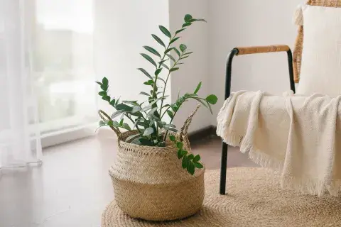 Los textiles en tonos blancos y crudos son muy compatibles con la decoración consciente. Los textiles en tonos blancos y crudos son muy compatibles con la decoración consciente.