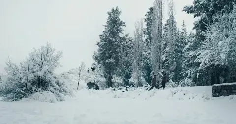 Imagen de la pelicula Una muerte silenciosa Imagen de la pelicula Una muerte silenciosa