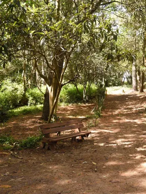 . Un lugar rodeado de bosque, con playas increíbles, extensas y bien serenas. . Un lugar rodeado de bosque, con playas increíbles, extensas y bien serenas. . Un lugar rodeado de bosque, con playas increíbles, extensas y bien serenas. . Un lugar rodeado de bosque, con playas increíbles, extensas y bien serenas.