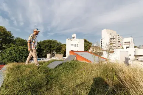 El techo con pastizales es transitable, un buen lugar para cambiar de perspectiva y sentarse a descansar. El techo con pastizales es transitable, un buen lugar para cambiar de perspectiva y sentarse a descansar.