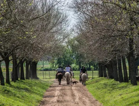 San Antonio de Areco, provincia de Buenos Aires San Antonio de Areco, provincia de Buenos Aires