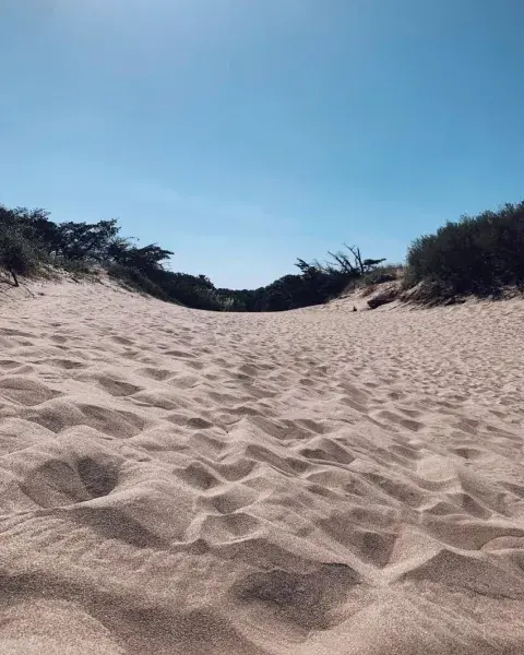 Foto de Las Gaviotas. Foto de Las Gaviotas.