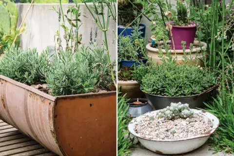Detalles en patios: recuperá y reciclá Detalles en patios: recuperá y reciclá