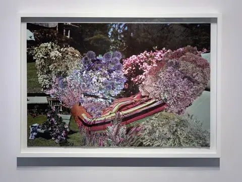 Fragmentos de una figura femenina brotan en flores o se ve invadida por ellas, en C #144 (Versace Fall Winter, 2001 / Plantas y Flores, Sarpe, 1980), 2024. Fragmentos de una figura femenina brotan en flores o se ve invadida por ellas, en C #144 (Versace Fall Winter, 2001 / Plantas y Flores, Sarpe, 1980), 2024.