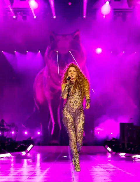 Shakira viste un look de Dario Mittmann en la gira Las mujeres ya no lloran. Shakira viste un look de Dario Mittmann en la gira Las mujeres ya no lloran.
