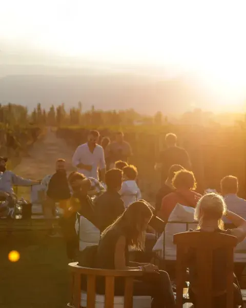 Bodega Viamonte 