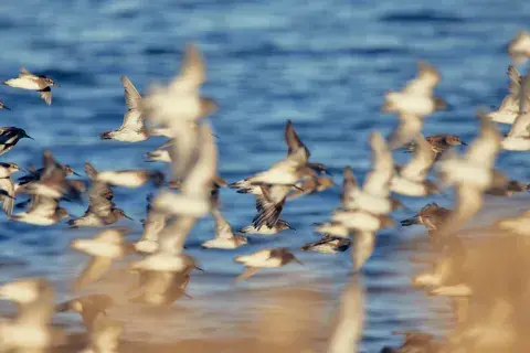 Foto de Bahía Bustamante. Foto de Bahía Bustamante.