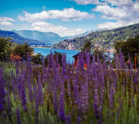 Con la llegada de Semana Santa se empiezan las reservas para hacerse una escapada. De acuerdo a las reservas, hay una serie de destinos preferidos por los argentinos para disfrutar del feriado largo, que este año será del jueves 17 al 20 de abril. En la plataforma Despegar, las búsquedas para el finde XXL crecieron un 25% respecto al mes pasado, lo que reafirma la tendencia creciente de los viajeros por planificar con anticipación. Este incremento se ve principalmente reflejado por los destinos domésticos, Con la llegada de Semana Santa se empiezan las reservas para hacerse una escapada. De acuerdo a las reservas, hay una serie de destinos preferidos por los argentinos para disfrutar del feriado largo, que este año será del jueves 17 al 20 de abril. En la plataforma Despegar, las búsquedas para el finde XXL crecieron un 25% respecto al mes pasado, lo que reafirma la tendencia creciente de los viajeros por planificar con anticipación. Este incremento se ve principalmente reflejado por los destinos domésticos,