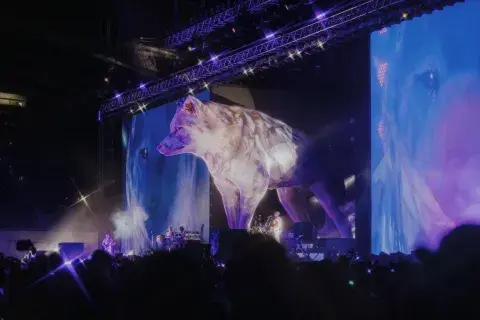 Shakira en el show Las mujeres ya no lloran tour en el Campor de Polo de Buenos Aires Shakira en el show Las mujeres ya no lloran tour en el Campor de Polo de Buenos Aires
