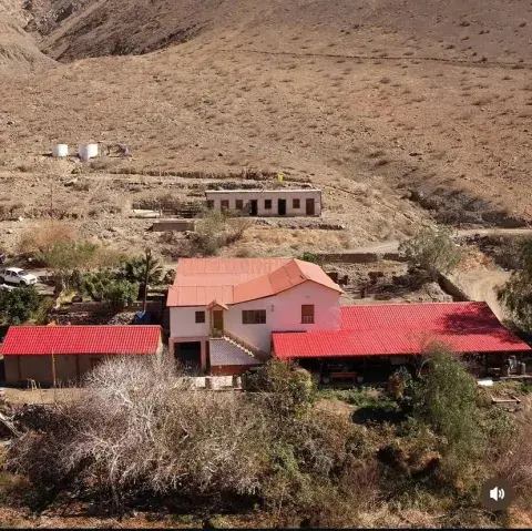 En el árido paisaje del Valle de Huasco, en pleno desierto de Atacama, Chile, Javiera Iriarte de Fundo El Mirador elaboran pisco. En el árido paisaje del Valle de Huasco, en pleno desierto de Atacama, Chile, Javiera Iriarte de Fundo El Mirador elaboran pisco.