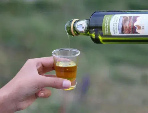 Oliva de Traslasierra Oliva de Traslasierra