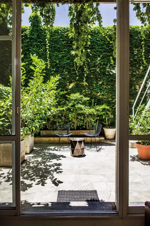 En este gran PH en Palermo, la vista desde la planta baja termina en un muro que se cubrió con una enredadera de hoja caduca para disfrutar de distintos colores según la estación. En este gran PH en Palermo, la vista desde la planta baja termina en un muro que se cubrió con una enredadera de hoja caduca para disfrutar de distintos colores según la estación.